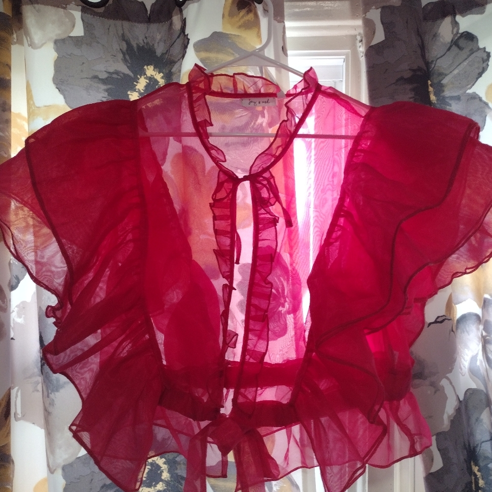 Joy & Ash organza top